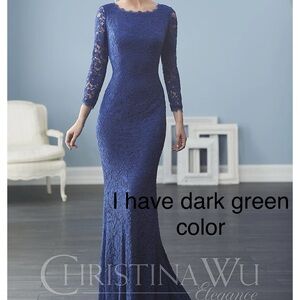 Elegant Lace Evening Gown